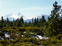 lassen park