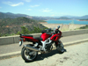 svs_shasta