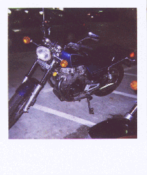 nighthawk